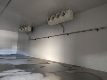 Δωμάτιο αποθήκευσης ψυκτήρων κλιματισμού με τις ανθεκτικές PU επιτροπές σάντουιτς